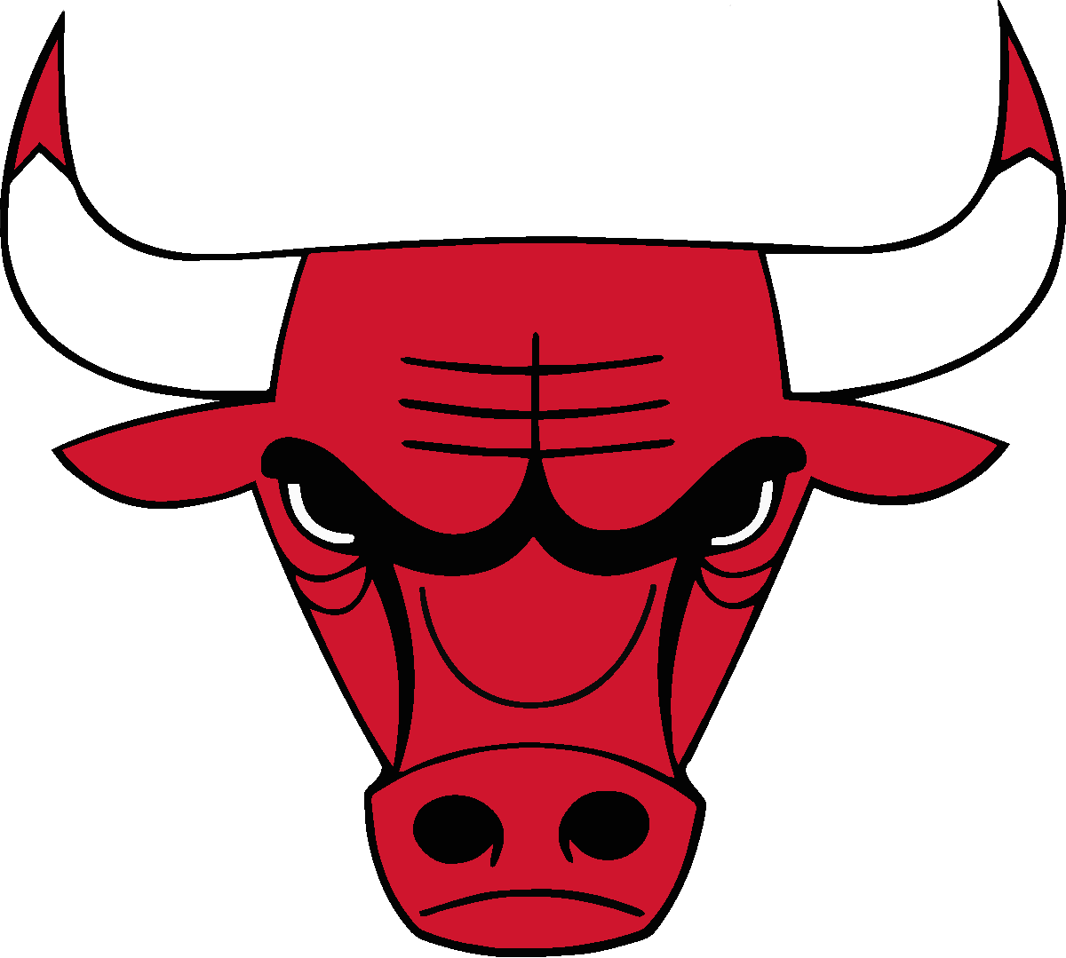 bulls color